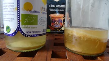 Comment fabriquer du Kombucha, le soda naturel à base de thé