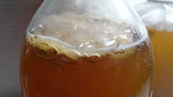 Comment fabriquer du Kombucha, le soda naturel à base de thé
