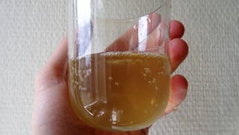 Comment fabriquer du Kombucha, le soda naturel à base de thé