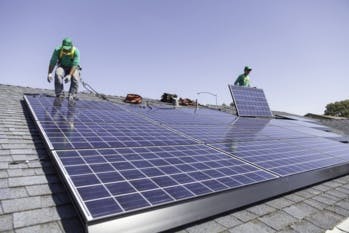 Bus, panneaux solaires et autopartage : le nouveau plan d'Elon Musk pour Tesla