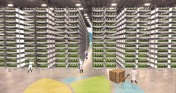 Dans le New Jersey, cette ferme urbaine produira bientôt 900 tonnes de nourriture