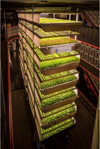 Dans le New Jersey, cette ferme urbaine produira bientôt 900 tonnes de nourriture