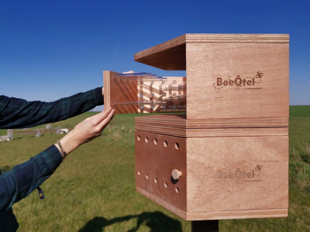 Ces installations, des BeeOtel, permettent de prélever un peu du pollen rapporté par les abeilles de leur périple dans les environs. Photo : BeeOdiversity.