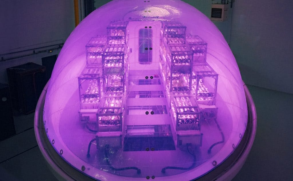 Vue d'en haut d'un BioPod. Crédit : Interstellar Lab.