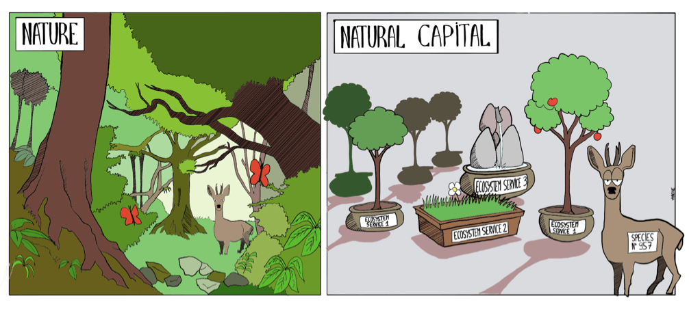 finance verte et biodiversité