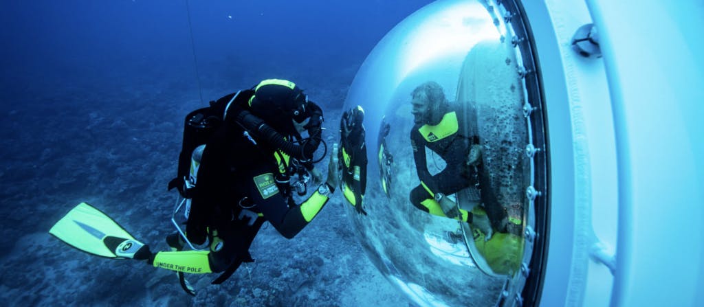 capsule