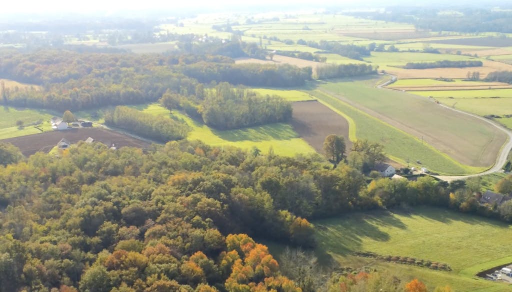forêt