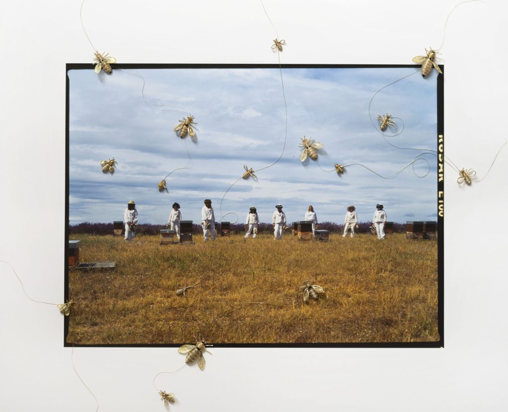 Un des clichés de Charlotte Abramow surpiqué par le travail de l'atelier Baqué Molinié. Photo : Charlotte Abramow.
