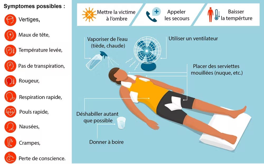Que faire en cas de coup de chaleur ? Les éléments à vérifier et les premiers réflexes à avoir. Crédit : Elenabsl/Shutterstock