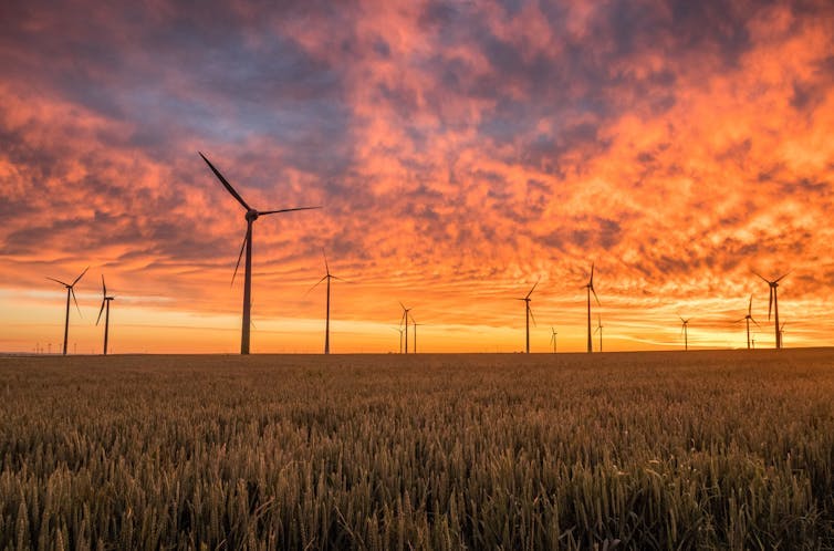 Champ d'éolienne éclairé par le soleil couchant.