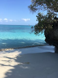 paysage de plage et de mer