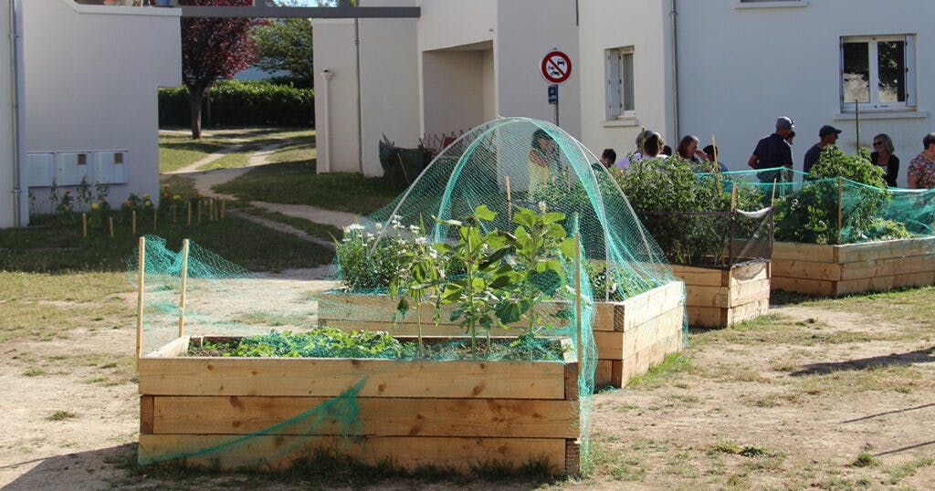 Jardin partagé
