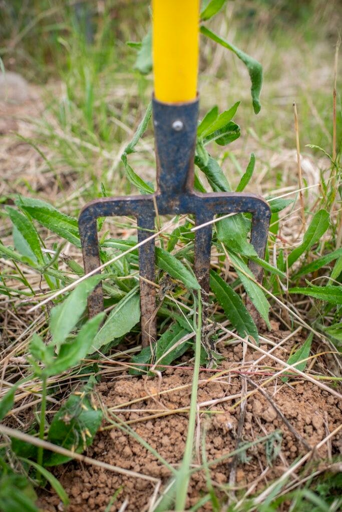 Une agriculture qui respecte et favorise les sols vivants, tel est le credo de Jean-Marie Lioult. Crédit : Jérémy Lempin / WD.