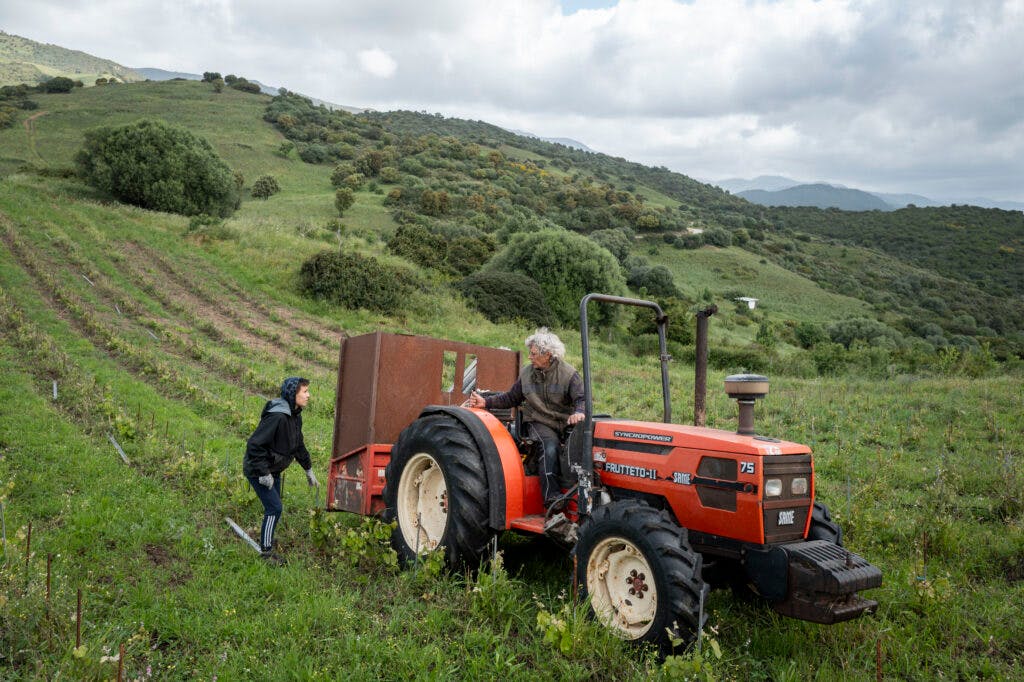 vignes tracteur