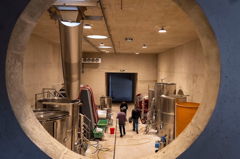 cave vigneron