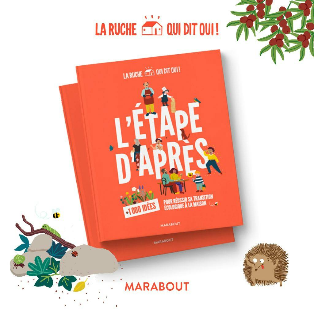 Cette recette de kimchi est issue du livre L’Étape d’Après (éditions Marabout).