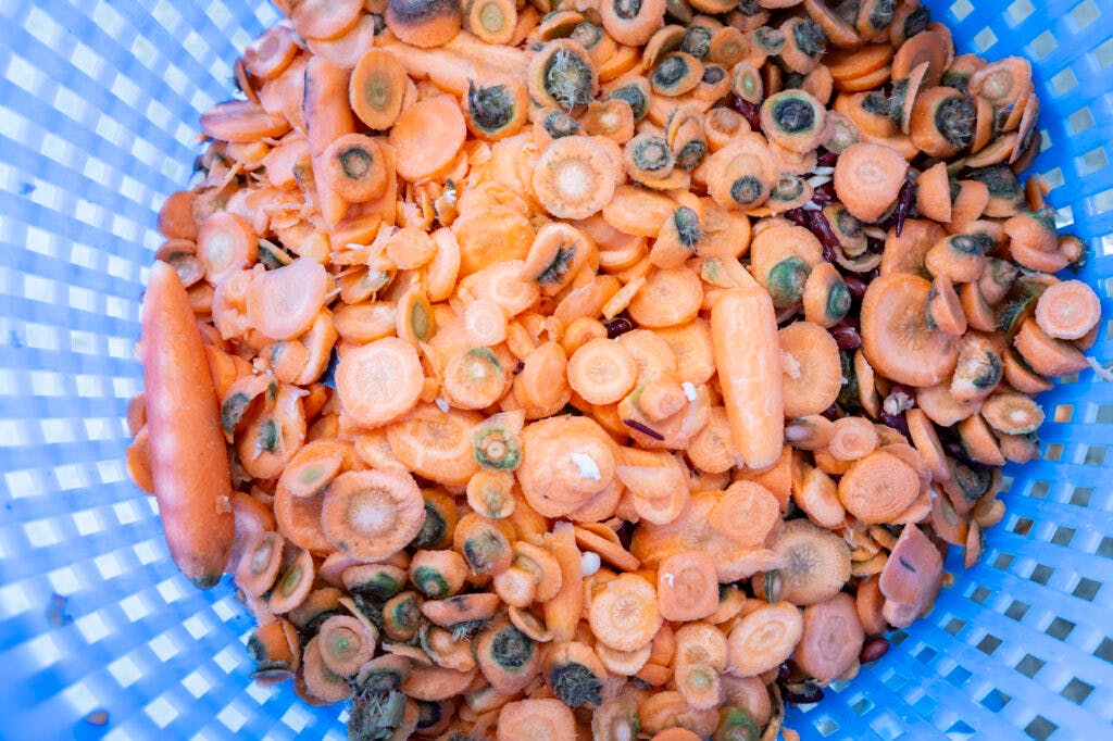 déchets légumes