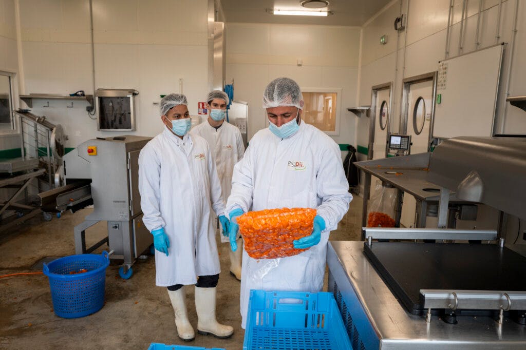 carottes sous vide