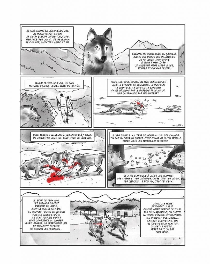 Dans la tête du loup