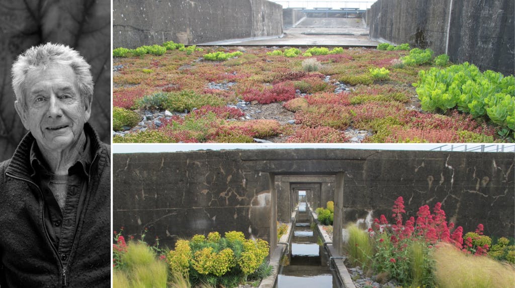 Pour Gilles Clément, il faut laisser une grande liberté au jardin. Ici, des jardins à Saint-Nazaire. Crédit (de g. à d. et de h. en b.) : Eric Legret, DR, DR.
