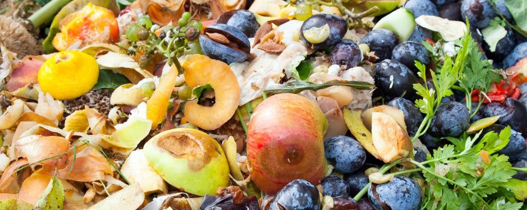 En France, les pertes et gaspillages alimentaires représentent 10 millions de tonnes de produits par an, soit une valeur commerciale estimée à 16 milliards d’euros. Crédit : Evan Lorne / Shutterstock.