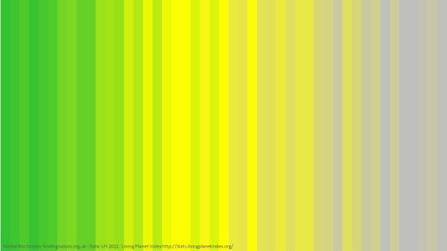 Bio Stripes showing 1970 to 2016 data from Living Planet Index - higher biodiversity is green and grey is lower.