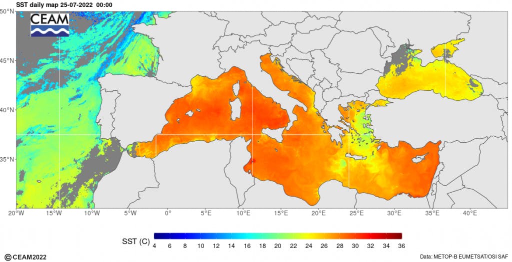 La mer Méditerranée est en surchauffe sur une large partie de sa surface et frôle régulièrement les 30 °C dans plusieurs zones. Crédit : METOP-B EUMETSAT/OSI SAF.