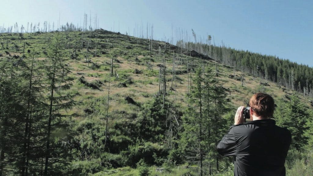 Documentaire "Wood : Game Changers Undercover"