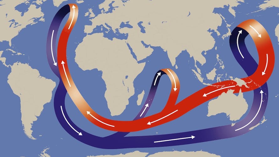 circulation thermohaline