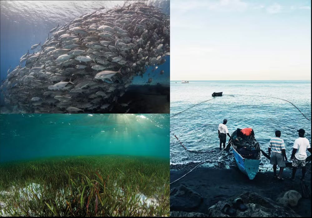 Banc de poissons, herbiers marins et pêcheurs préparant un bateau sur une plage au coucher du soleil