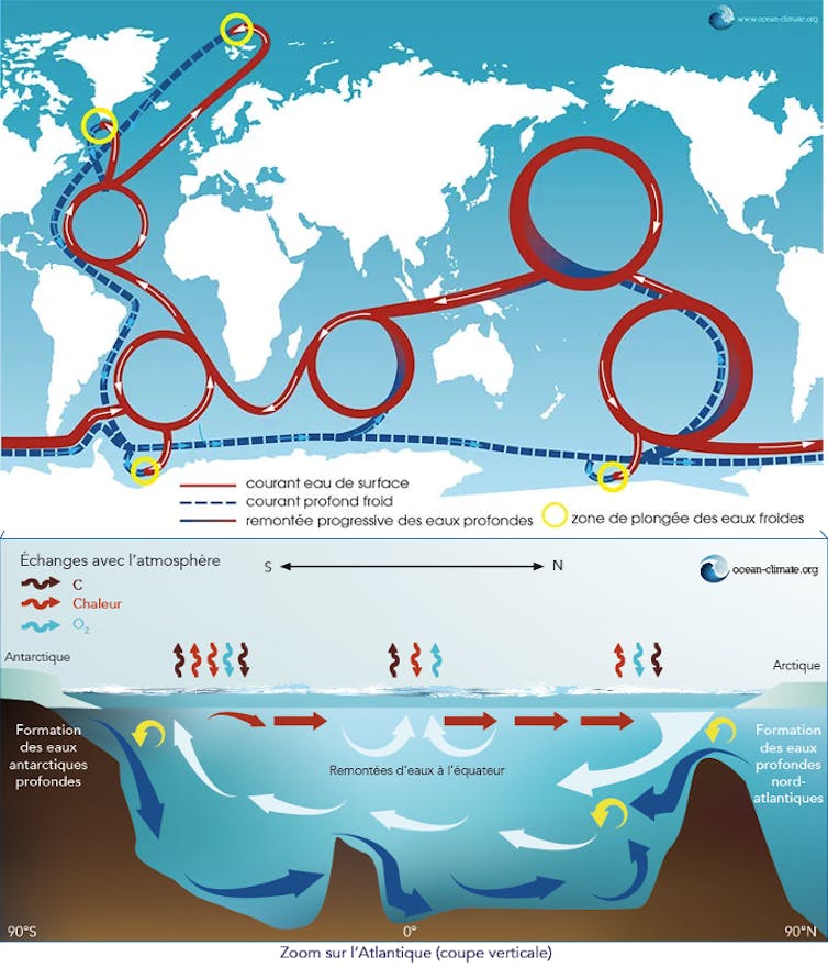 Carte illustrant la circulation océanique mondiale avec courants chauds, froids et échanges atmosphériques