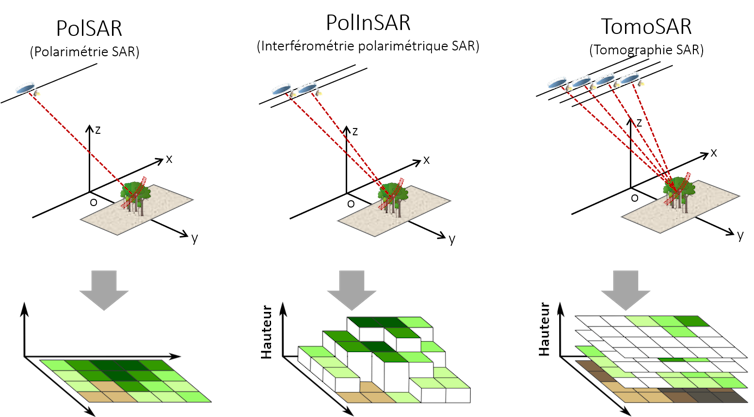 Comparaison de trois techniques SAR pour mesurer la hauteur avec différentes résolutions spatiales.