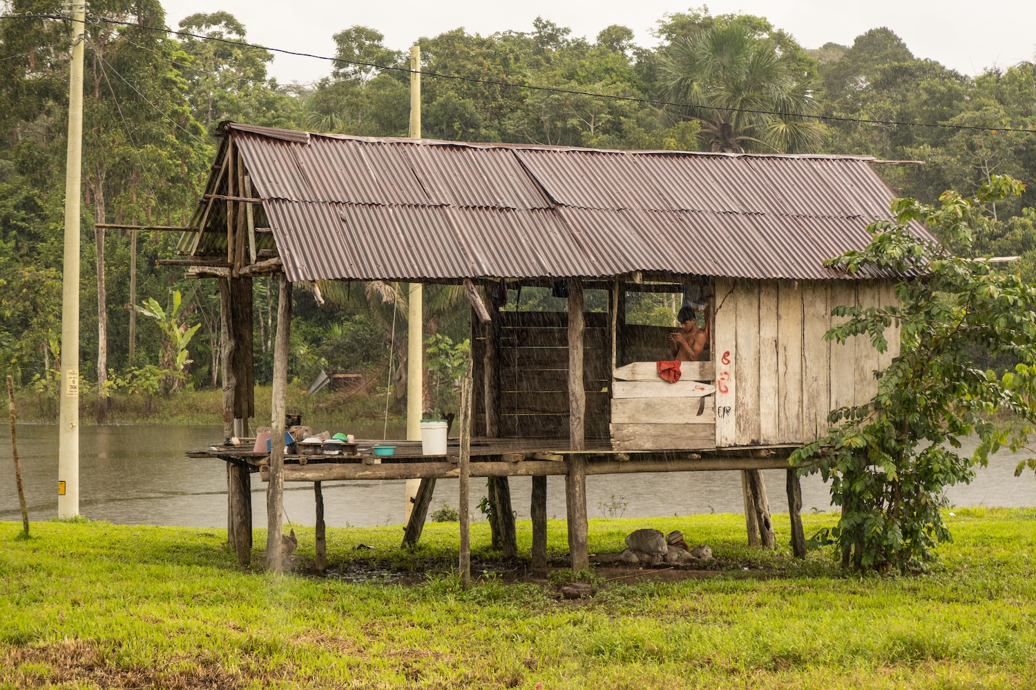 Cabane en bois sur pilotis près d’une rivière, entourée de végétation tropicale.