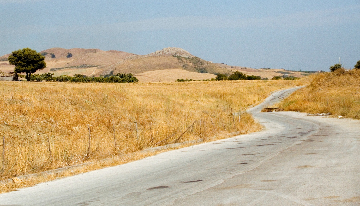 Route sinueuse traversant une plaine dorée de Sicile avec collines et arbre isolé à l'horizon