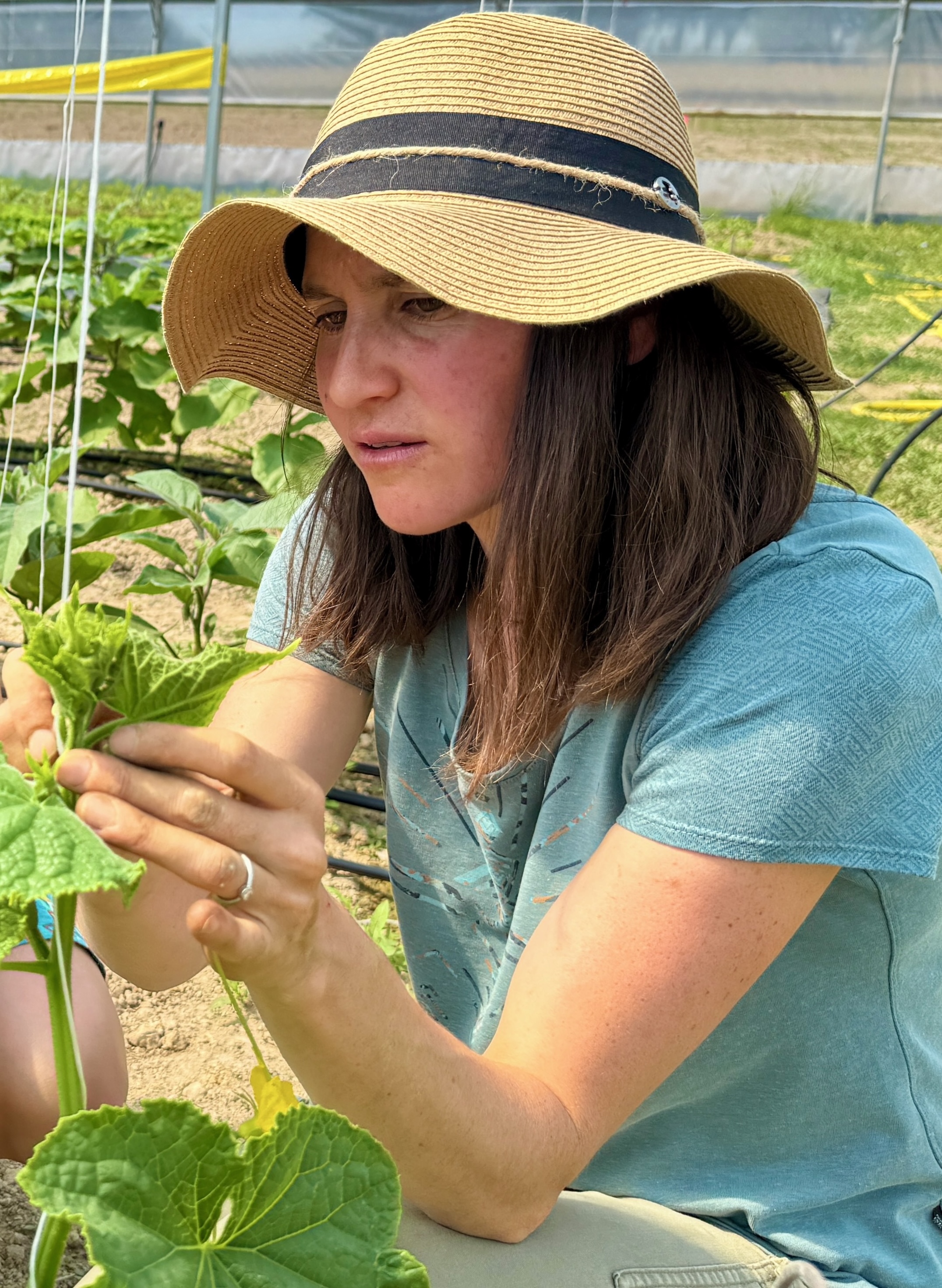 Vanessa Correa travaillant dans un potager par une journée ensoleillée