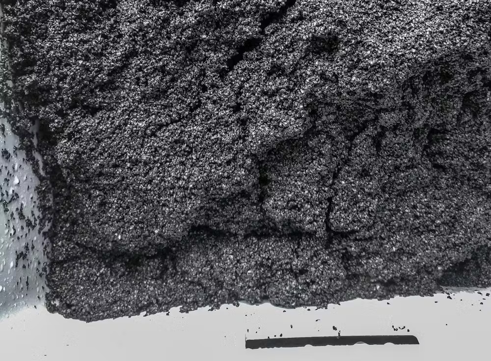 Charbon actif dans un récipient en plastique transparent.