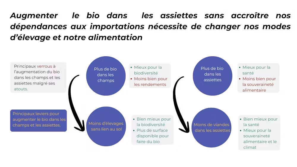 Schéma sur l'impact du bio et les changements nécessaires en élevage et alimentation.