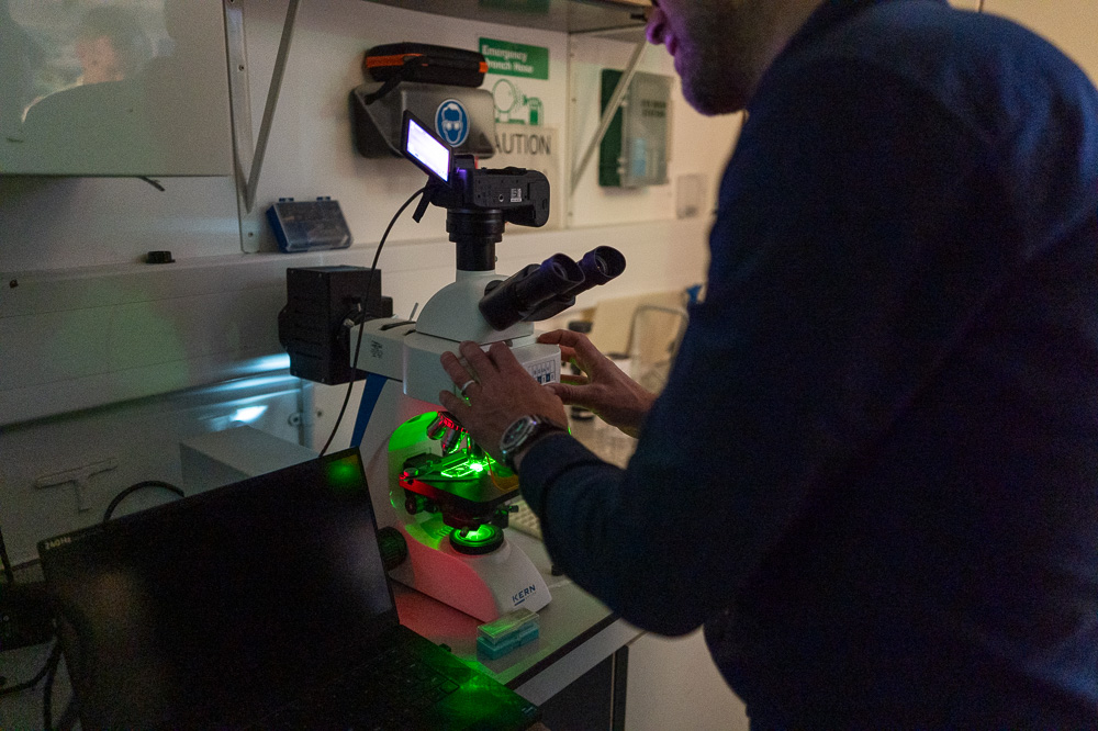 Un microscope permet d'analyser tous les détails des coraux.