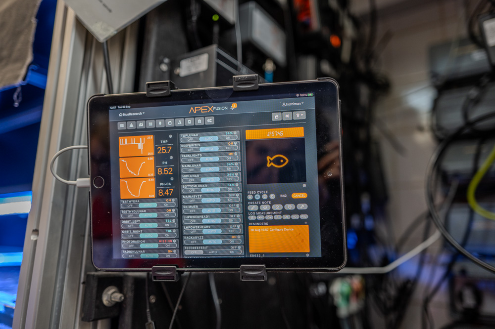 Ecran de surveillance de l'aquarium aux coraux.