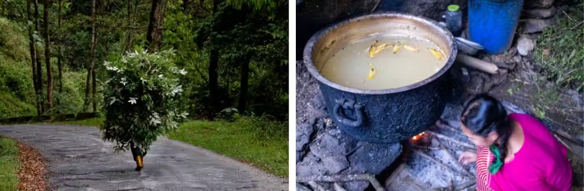 Personne portant des branches sur une route forestière, marmite noire chauffant une soupe aux fleurs jaunes