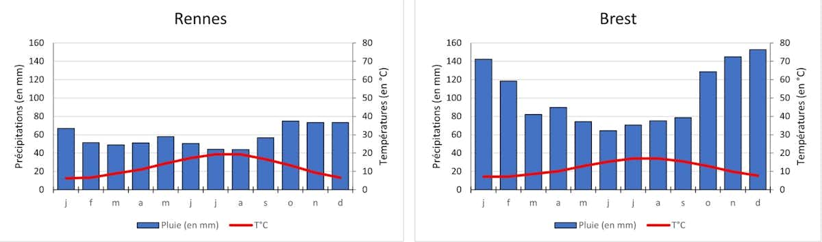 graphique sur le cumul de precipitations