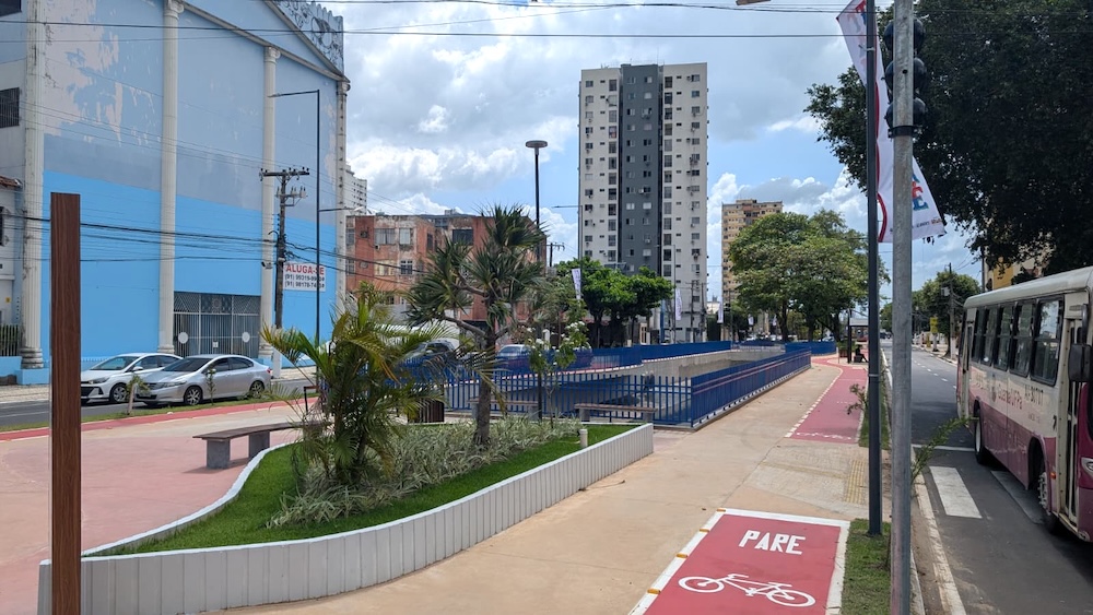 Piste cyclable avec marquage au sol, espace piéton arboré et immeubles en arrière-plan.