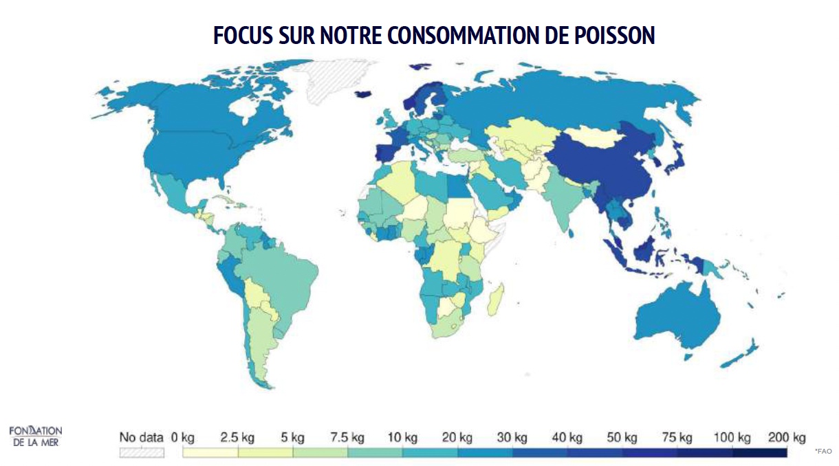 Carte mondiale illustrant la consommation de poisson par habitant en kilogrammes.
