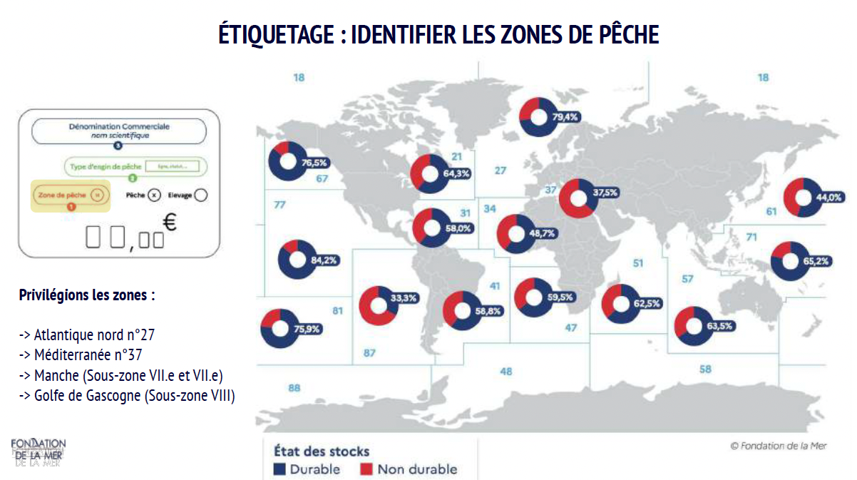 Carte mondiale des zones de pêche avec indicateurs de durabilité des stocks de poissons.