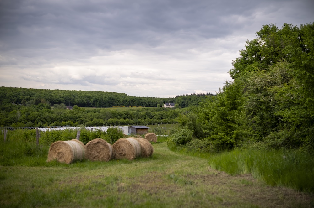 Quatre bottes de foin dans un champ bordé d’arbres sous un ciel nuageux