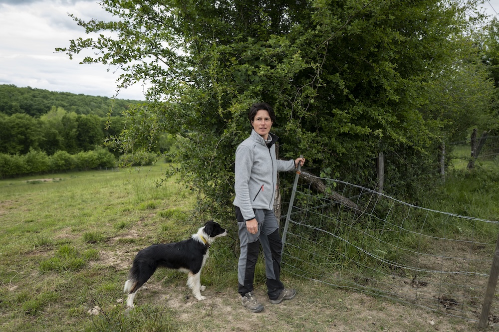 Personne ouvrant une barrière dans un champ avec un chien noir et blanc à ses pieds