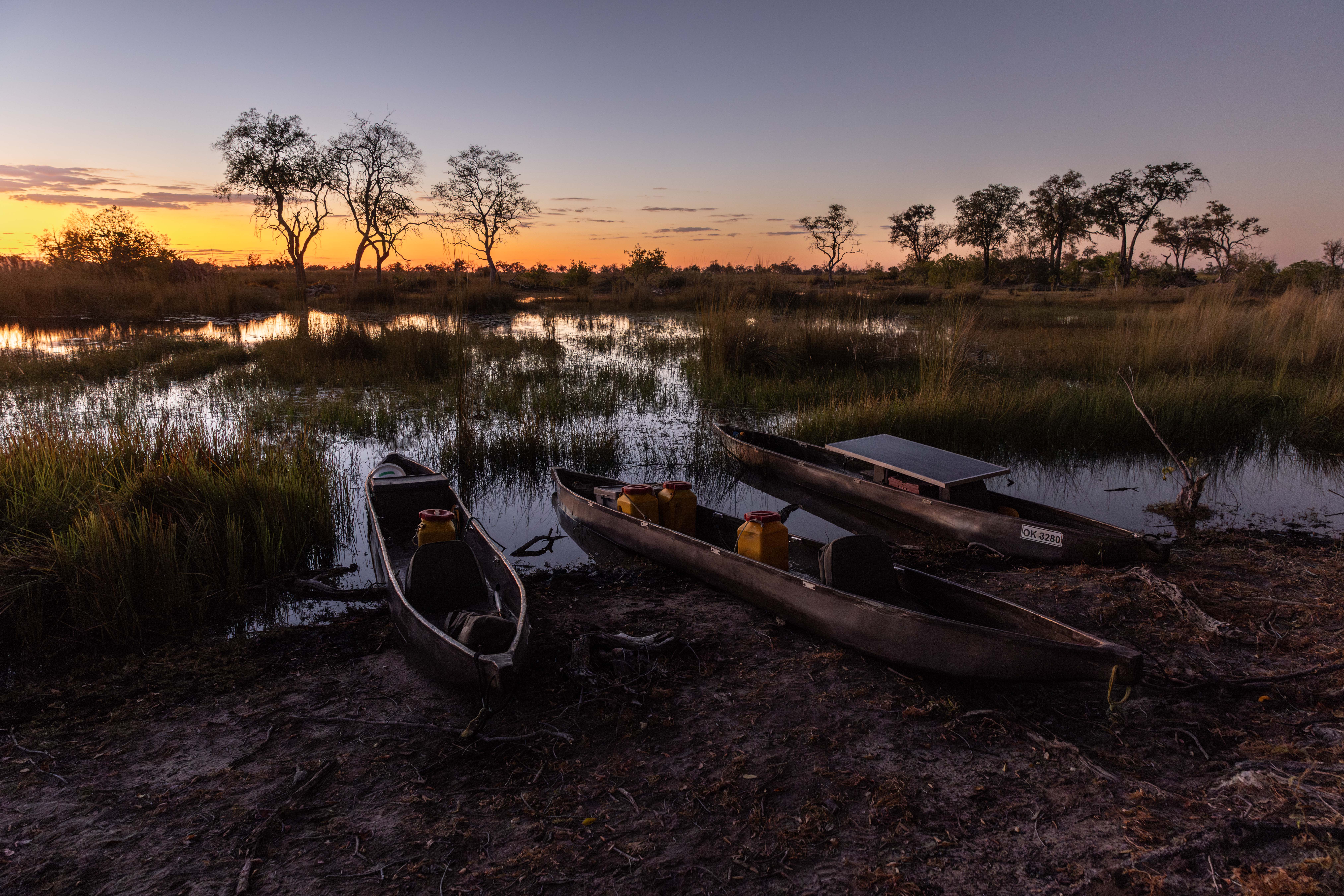 Pirogues en bois au bord d’un marais au coucher du soleil, paysage paisible.