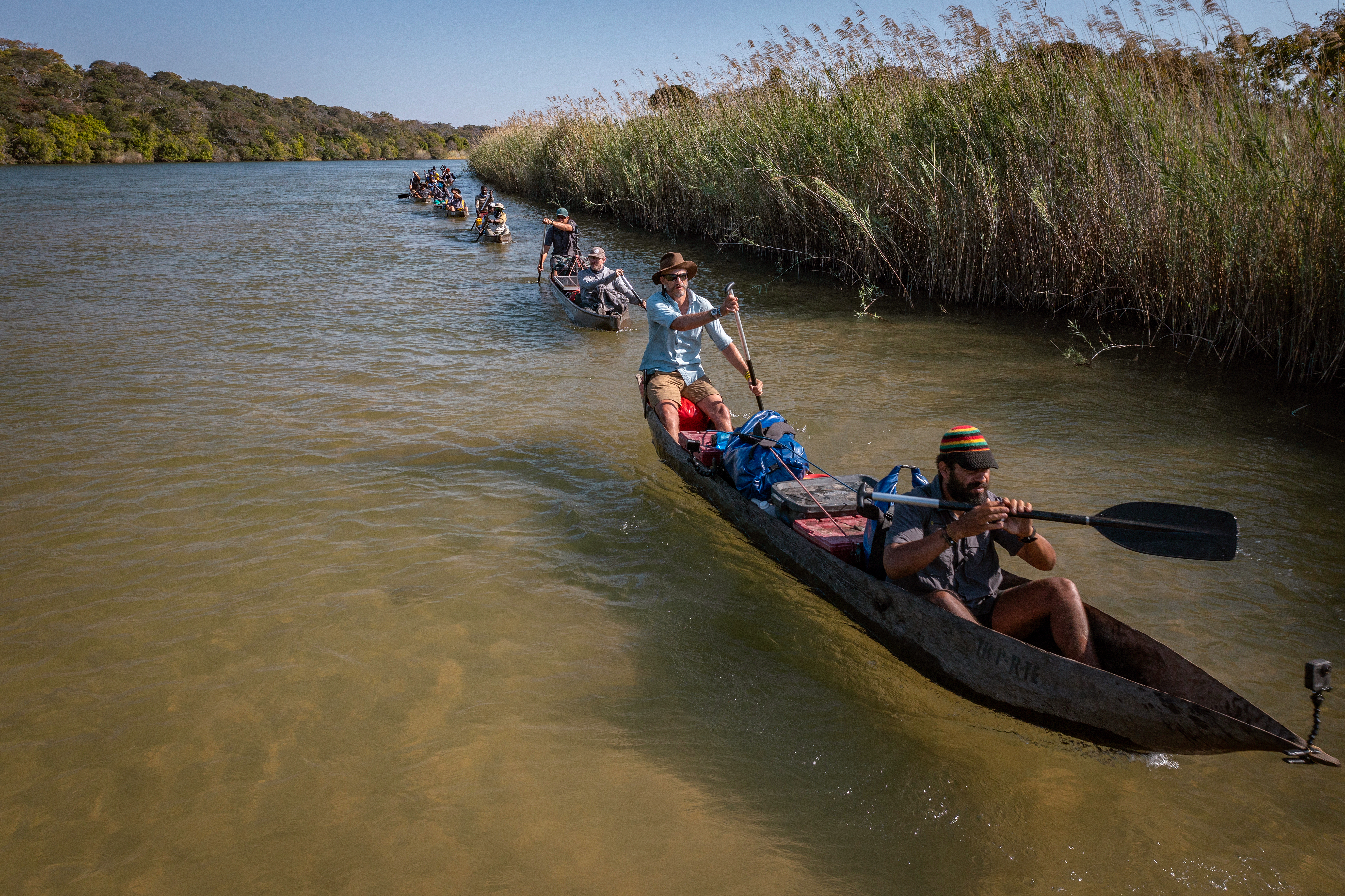 Des hommes pagaient en file indienne dans des pirogues sur une rivière bordée de roseaux.