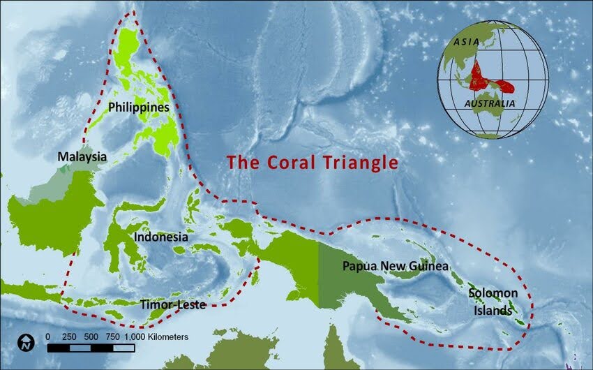 Carte du Triangle de Corail incluant les Philippines, l’Indonésie, la Malaisie et d'autres îles.
