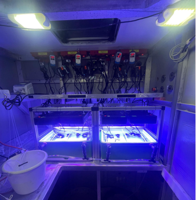 Installation de laboratoires avec éclairage LED bleu et équipements électroniques suspendus au plafond.
